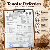Neemuch Ajwain - Premium Organic Carom Seeds