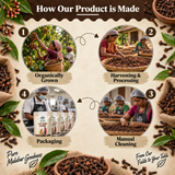 Lal Pari Laung - Premium Handpicked Cloves