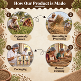 Mewadi Jeera - Premium Organic Cumin Seeds